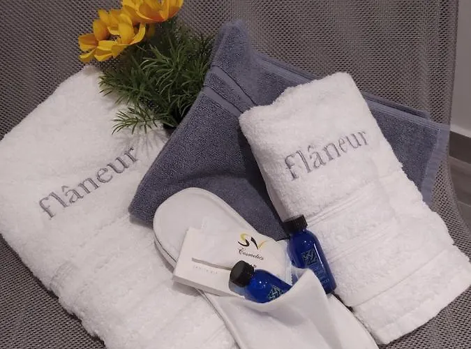 Flaneur Ormos Panagias