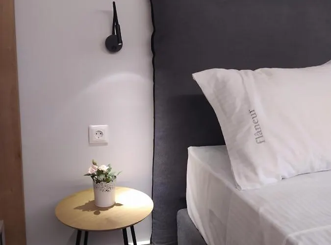 公寓 Flaneur 奥马斯帕纳吉亚斯