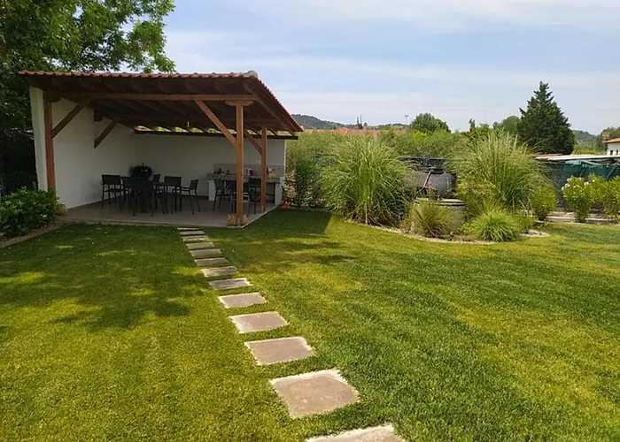 Flaneur 奥马斯帕纳吉亚斯